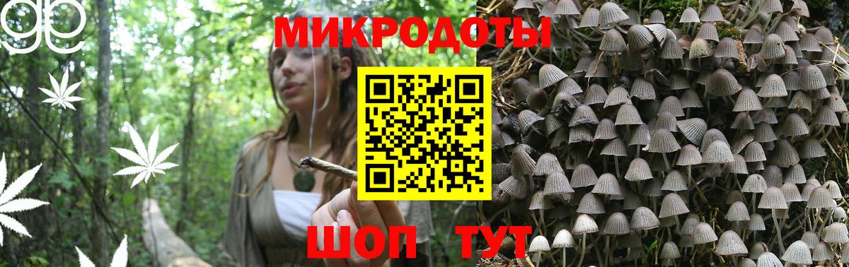 Псилоцибиновые грибы Psilocybine cubensis Симферополь